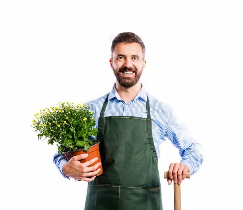 Зимние сады под ключ — частые вопросы клиентов