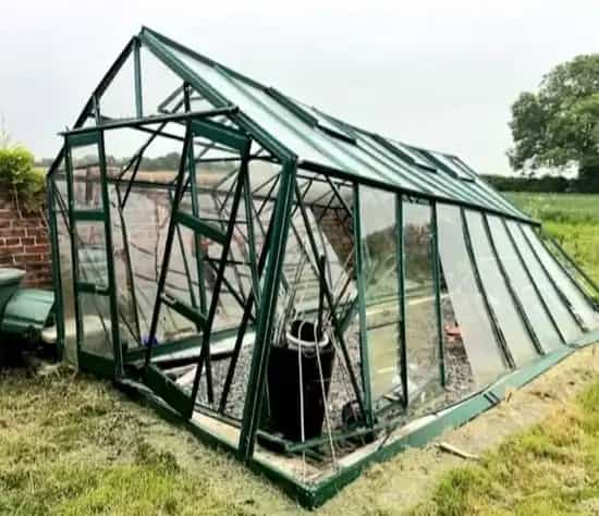 Портрет человека